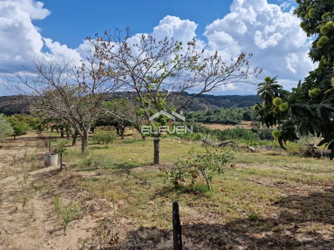 Moradia T5 para Venda em Trevões e Espinhosa Foto 35