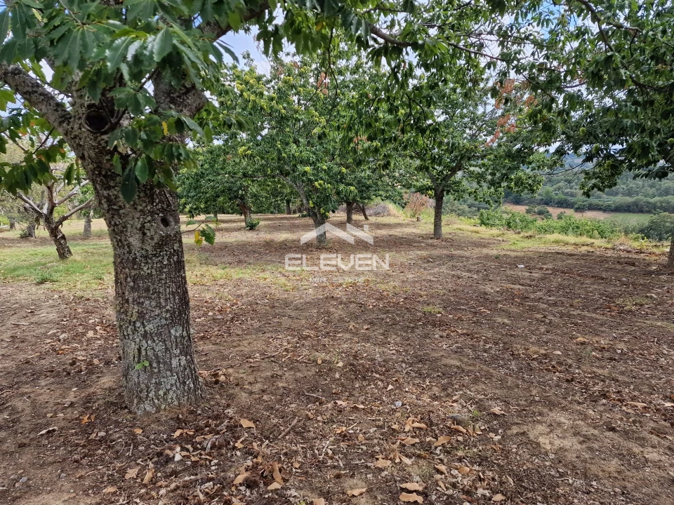 Moradia T5 para Venda em Trevões e Espinhosa Foto 34