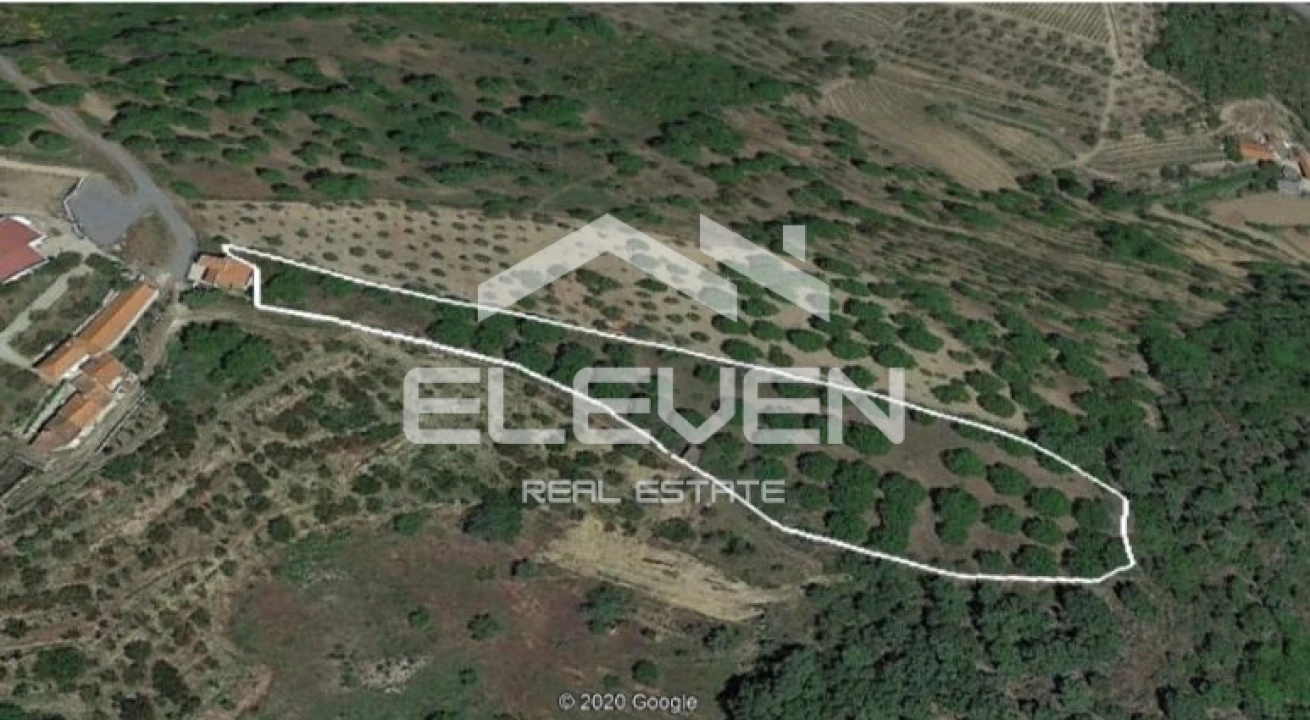 Moradia T5 para Venda em Trevões e Espinhosa Foto 23