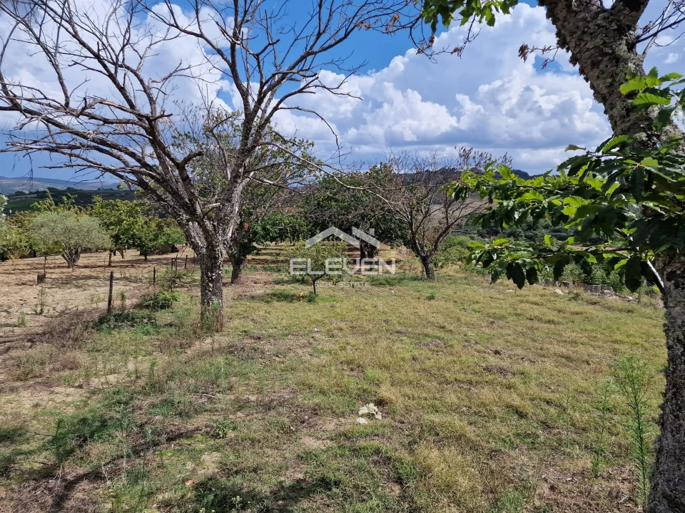 Moradia T5 para Venda em Trevões e Espinhosa Foto 52