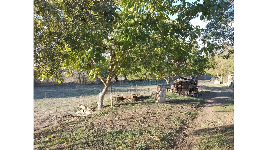 Quinta T3 para Venda em São Bento do Cortiço e Santo Estêvão Foto 8