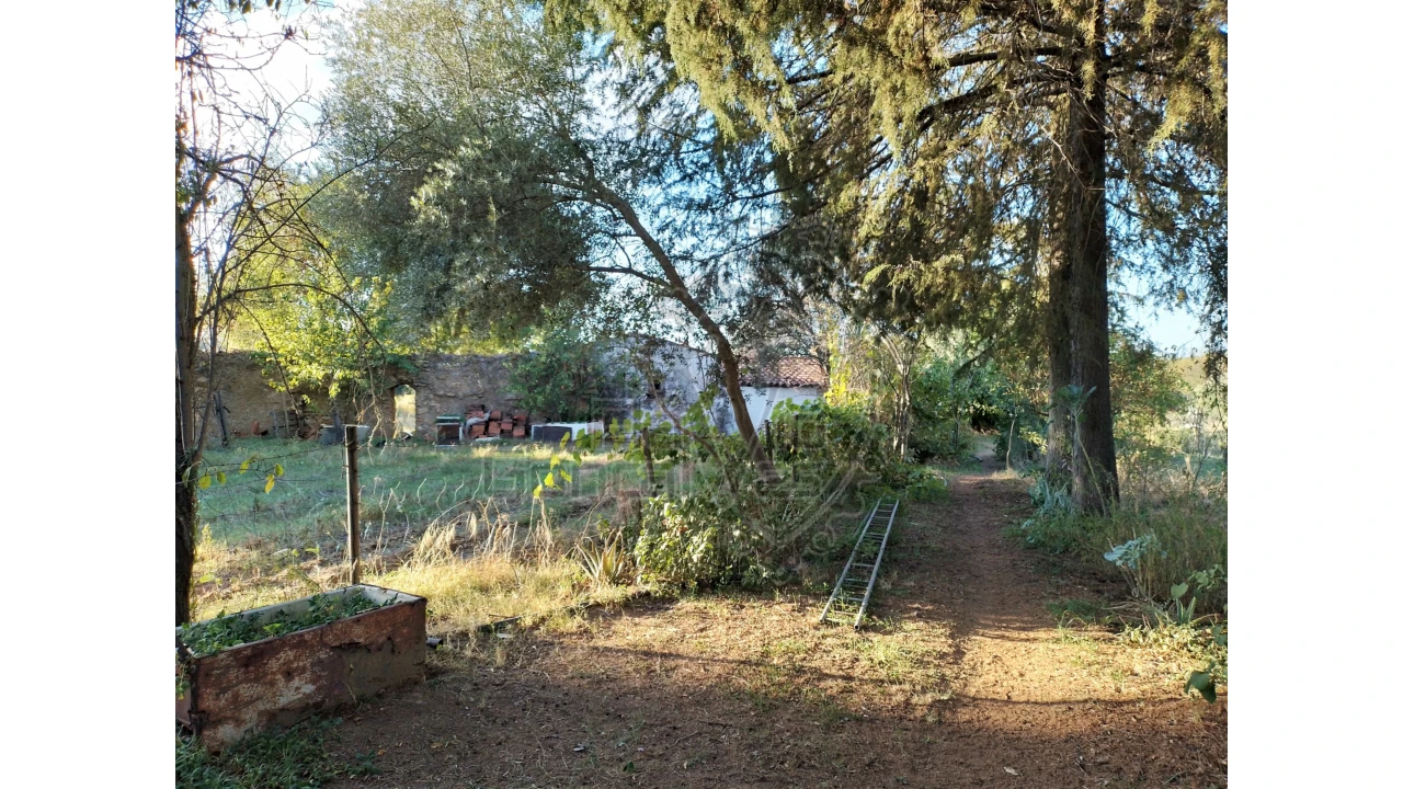 Quinta T3 para Venda em São Bento do Cortiço e Santo Estêvão Foto 7