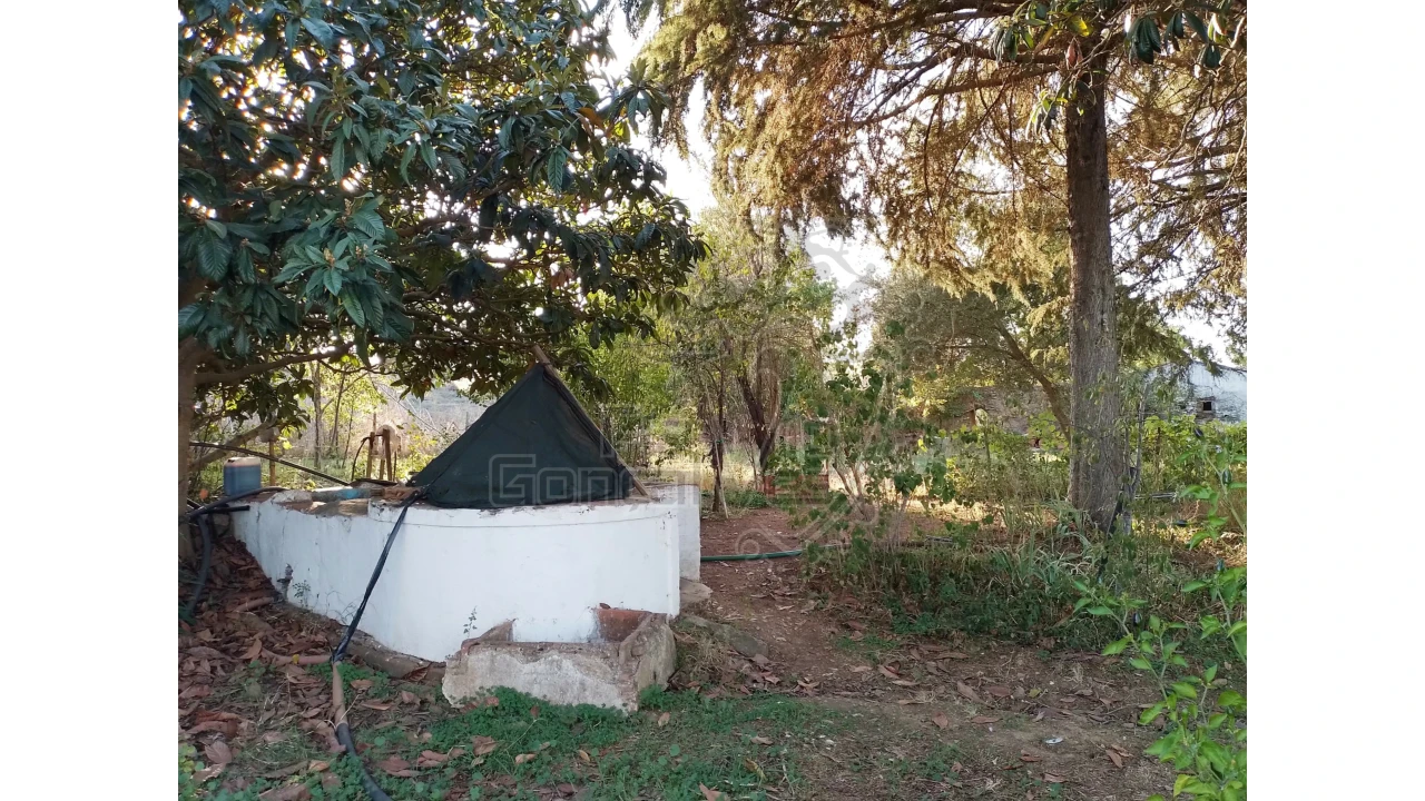 Quinta T3 para Venda em São Bento do Cortiço e Santo Estêvão Foto 6