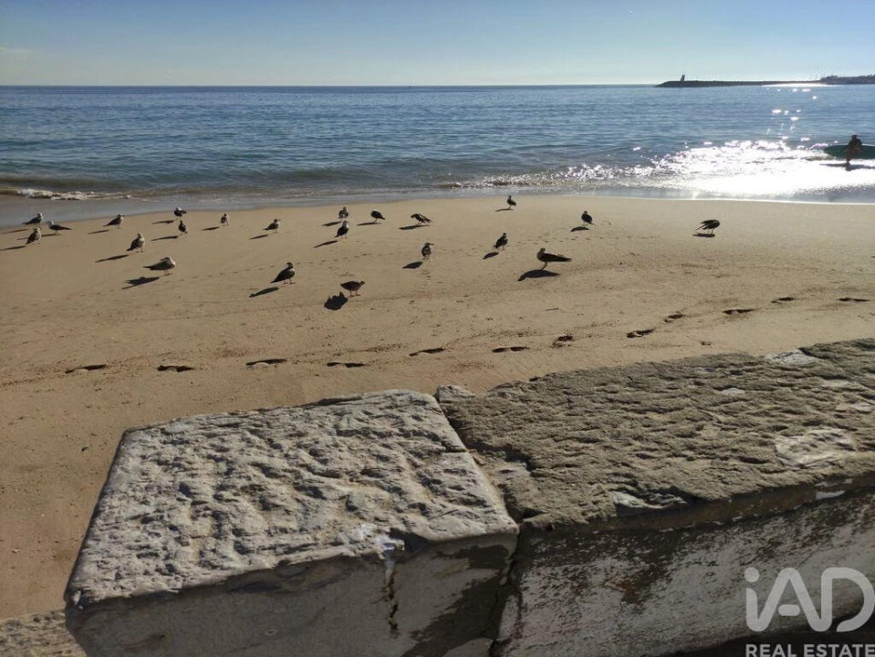 Moradia T4 para Venda em Sesimbra (Castelo) Foto 23