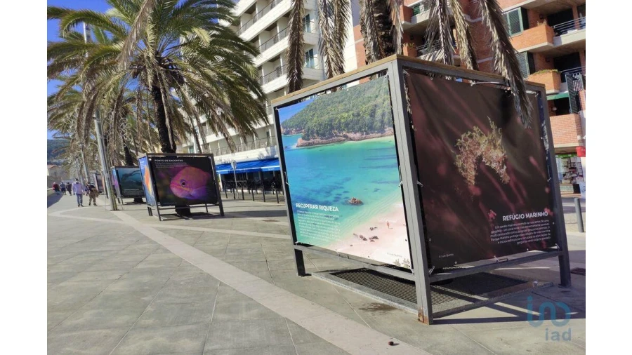 Moradia T4 para Venda em Sesimbra (Castelo) Foto 12