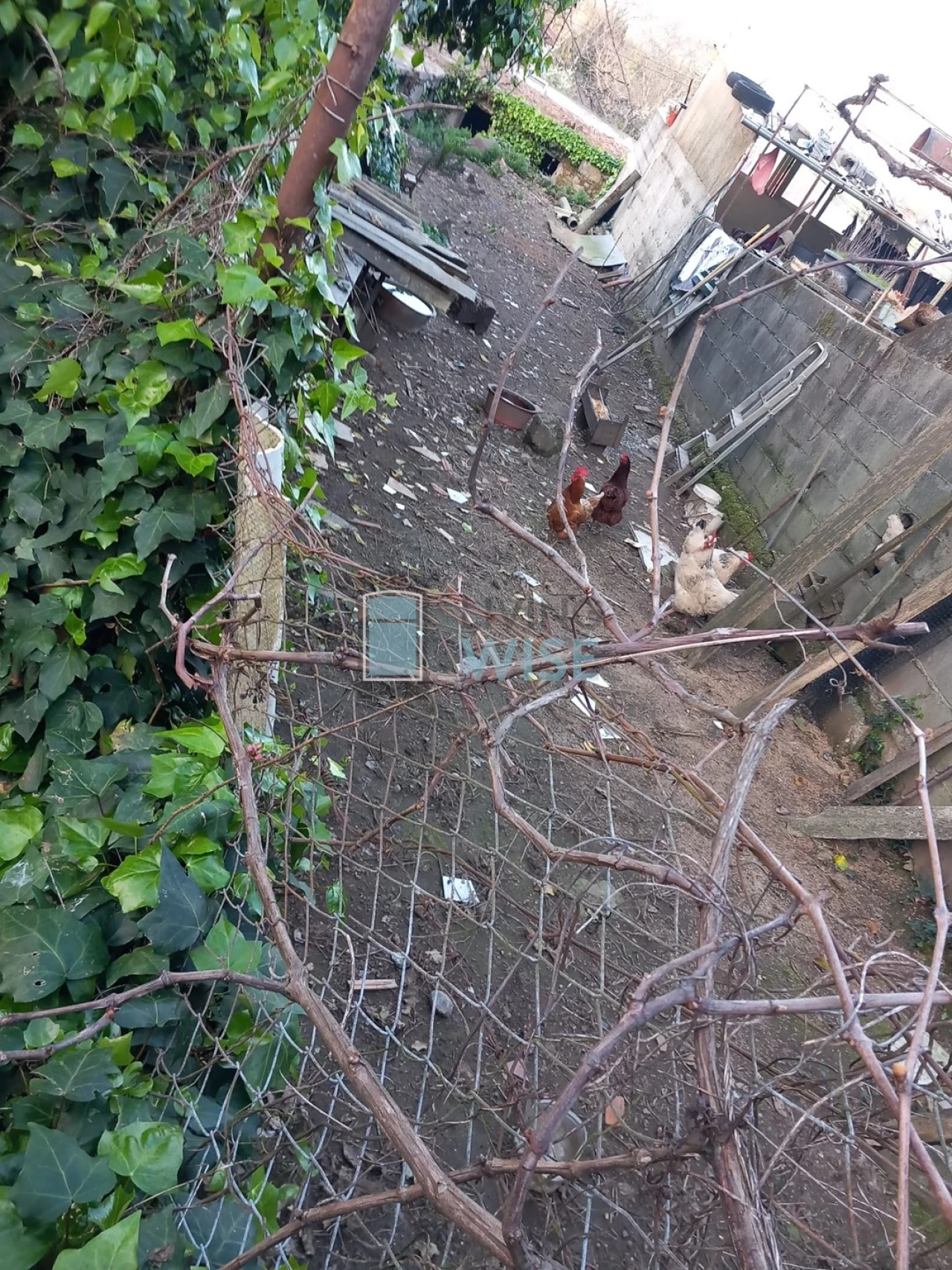 Moradia para Venda em Merelim (São Paio), Panoias e Parada de Tibães Foto 4