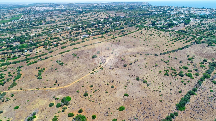 Terreno Misto para Venda em Luz Foto 12