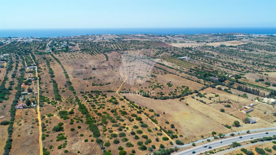 Terreno Misto para Venda em Luz Foto 6