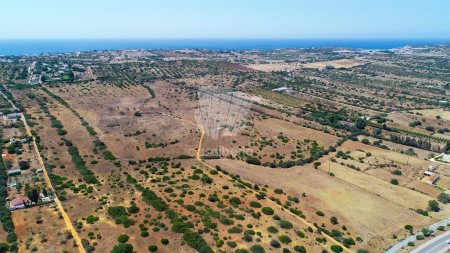 Terreno Misto para Venda em Luz Foto 4