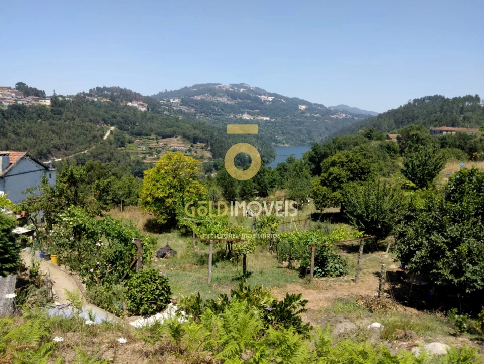 Terreno Agricola ou Rústico para Venda em Souselo Foto 8