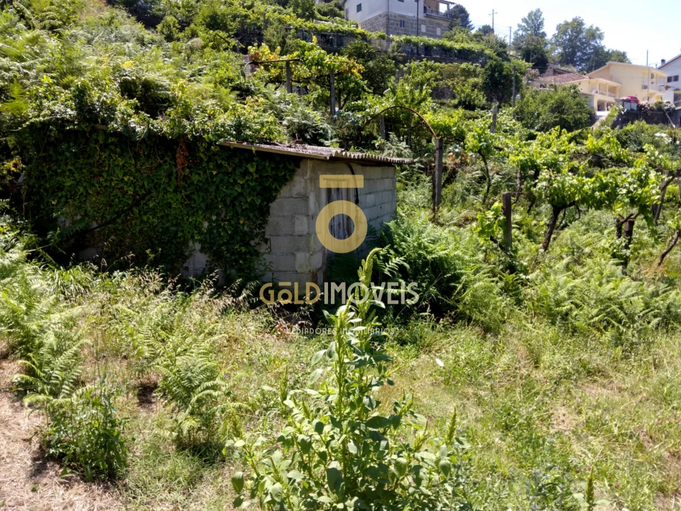 Terreno Agricola ou Rústico para Venda em Souselo Foto 3