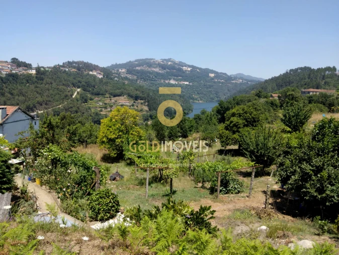 Terreno Agricola ou Rústico para Venda em Souselo Foto 8