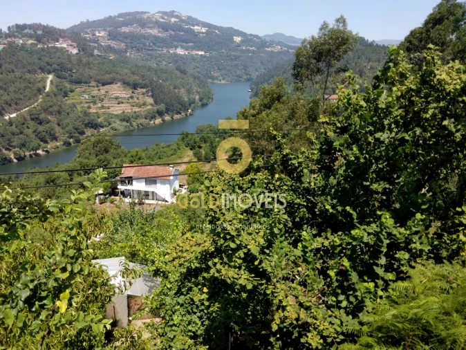 Terreno Agricola ou Rústico para Venda em Souselo Foto 1