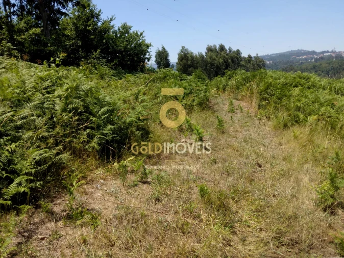 Terreno Agricola ou Rústico para Venda em Souselo Foto 4