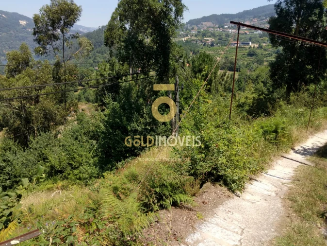 Terreno Agricola ou Rústico para Venda em Souselo Foto 2