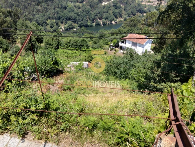 Terreno Agricola ou Rústico para Venda em Souselo Foto 5