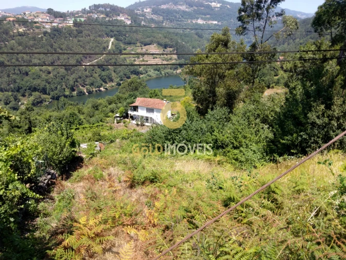 Terreno Agricola ou Rústico para Venda em Souselo Foto 9