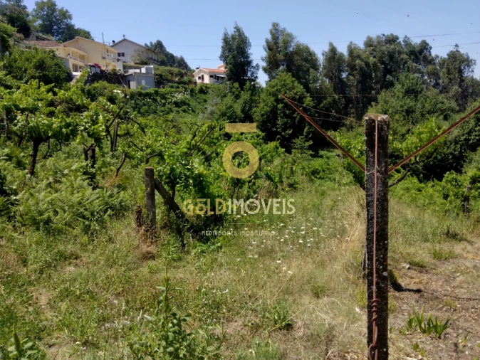 Terreno Agricola ou Rústico para Venda em Souselo Foto 7