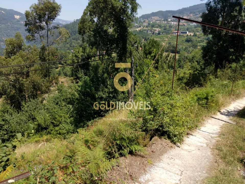 Terreno Agricola ou Rústico para Venda em Souselo Foto 2