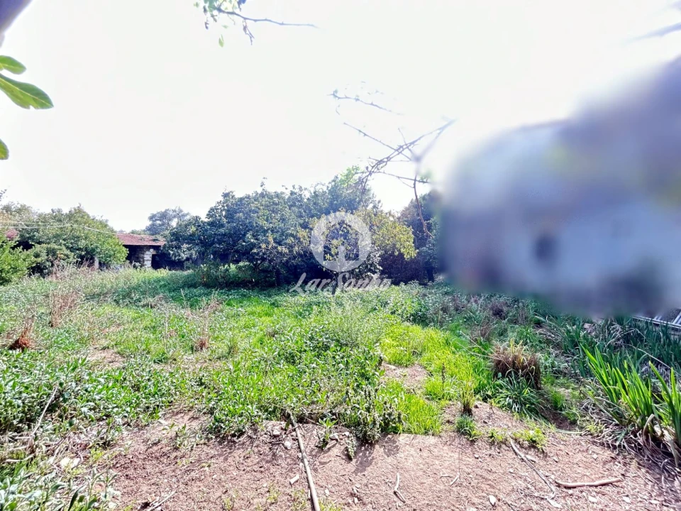 Quinta T5 para Venda em Fradelos Foto 21