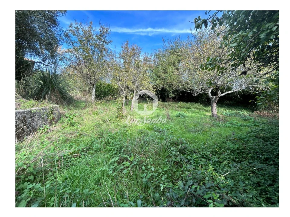 Quinta T5 para Venda em Fradelos Foto 3