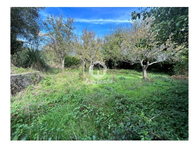 Quinta T5 para Venda em Fradelos Foto 3