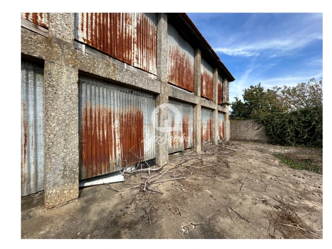 Quinta T5 para Venda em Fradelos Foto 6