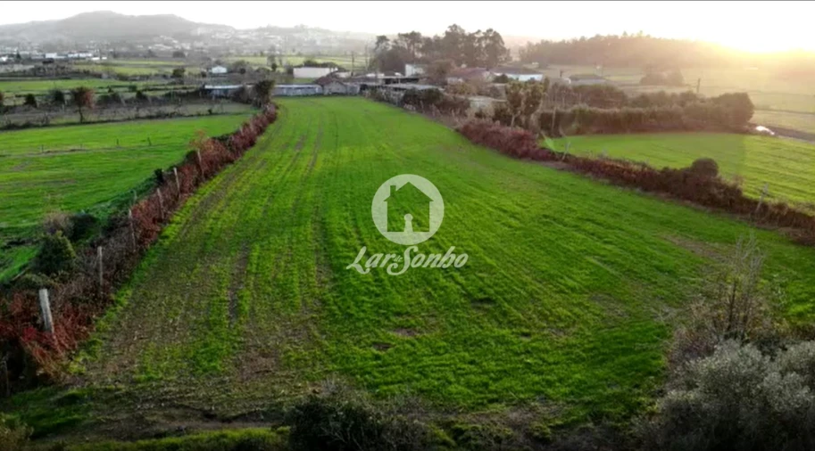 Quinta T5 para Venda em Fradelos Foto 4