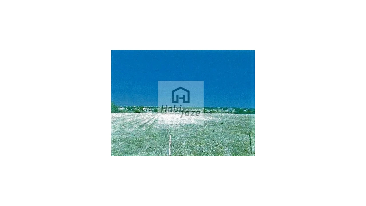 Terreno Agricola ou Rústico para Venda em Bacelo e Senhora da Saúde Foto 2