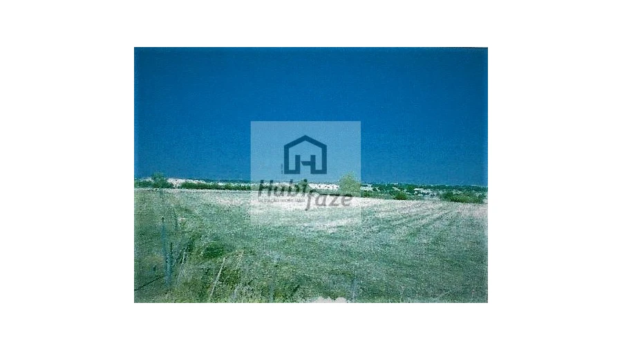 Terreno Agricola ou Rústico para Venda em Bacelo e Senhora da Saúde Foto 1