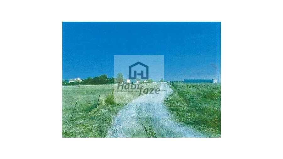 Terreno Agricola ou Rústico para Venda em Bacelo e Senhora da Saúde Foto 3