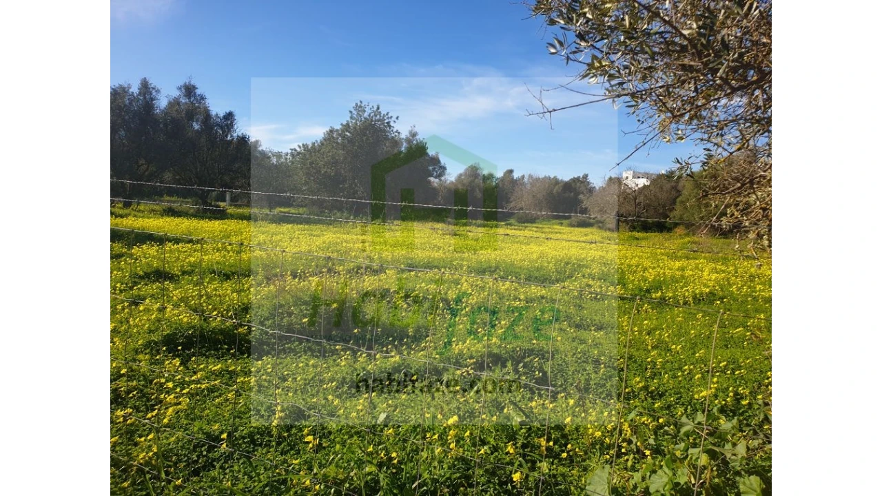 Terreno para Venda em Armação de Pera Foto 2