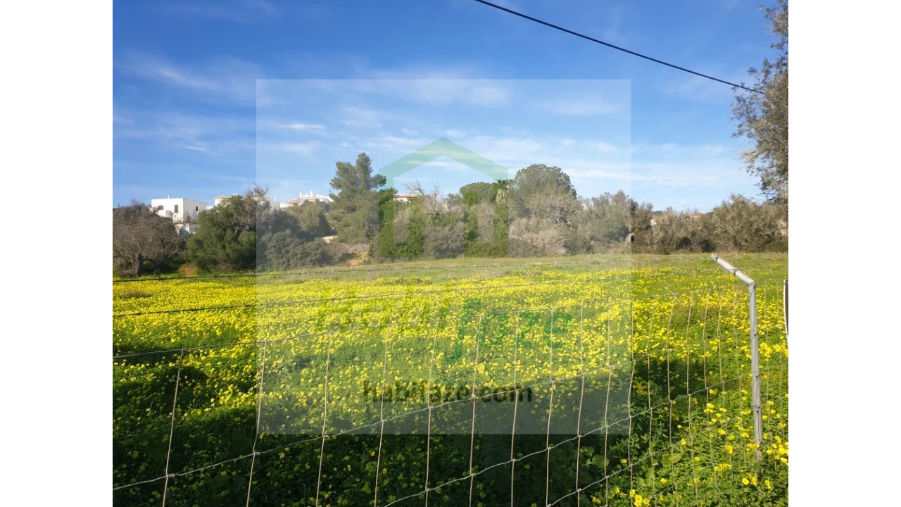 Terreno para Venda em Armação de Pera Foto 3