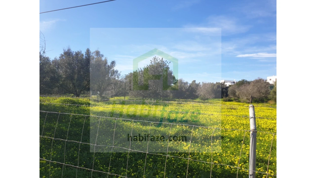 Terreno para Venda em Armação de Pera Foto 4