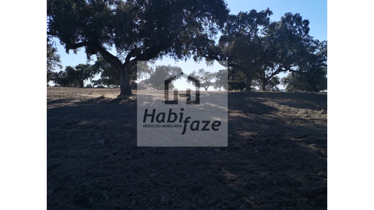 Quinta para Venda em Vimieiro Foto 4