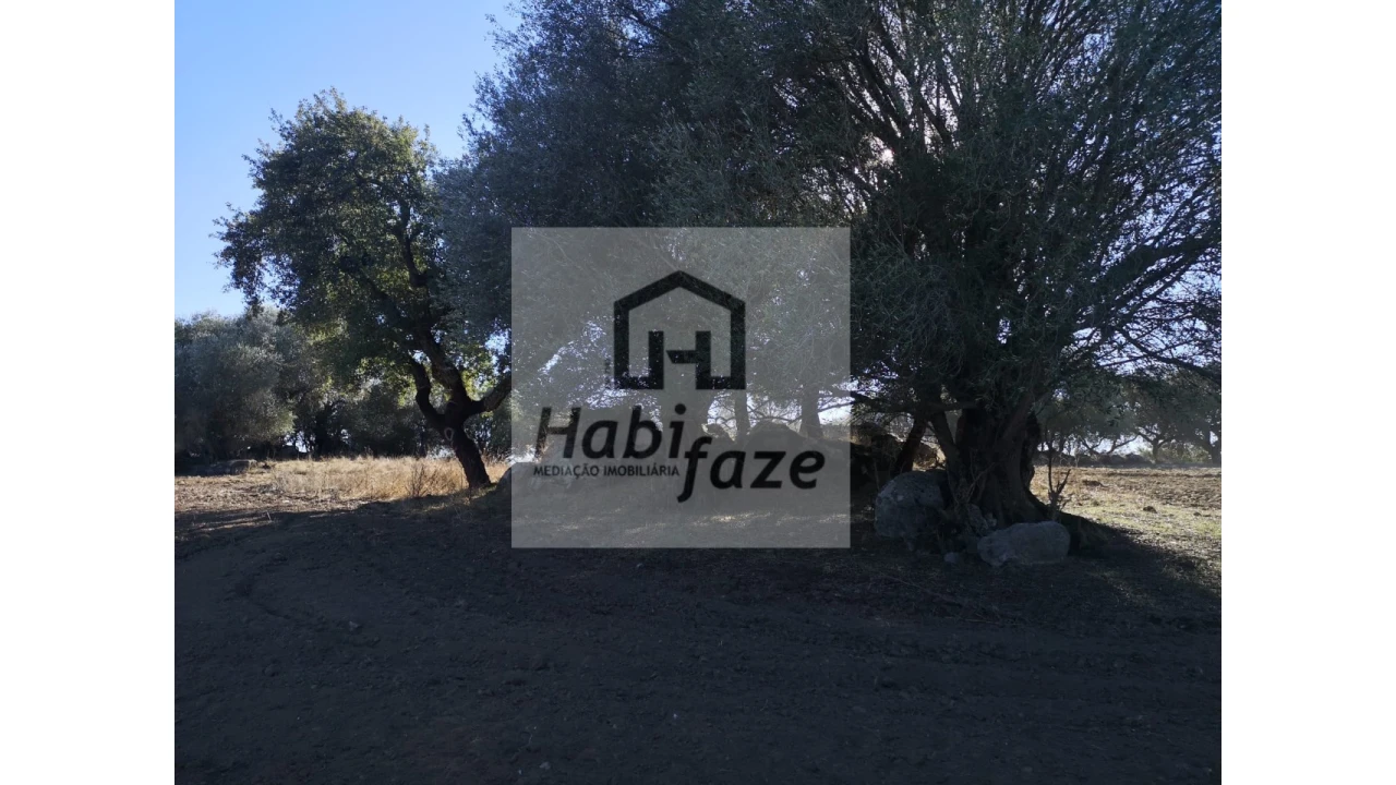 Quinta para Venda em Vimieiro Foto 7