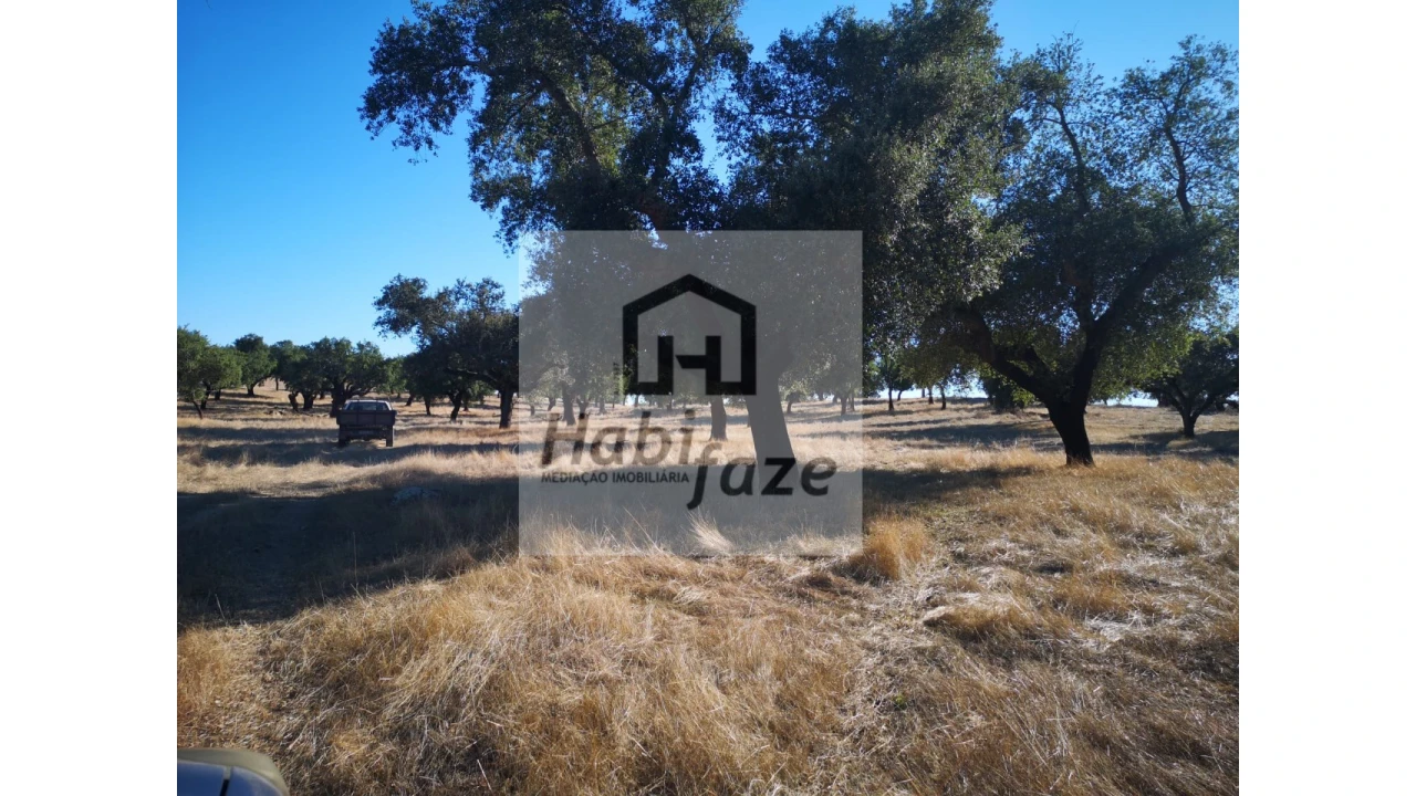 Quinta para Venda em Vimieiro Foto 8