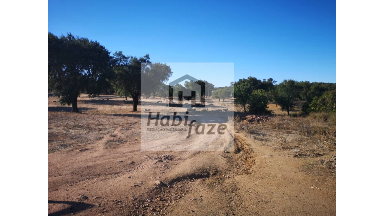 Quinta para Venda em Vimieiro Foto 14