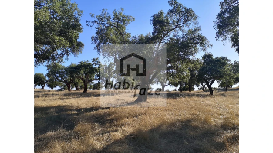 Quinta para Venda em Vimieiro Foto 3