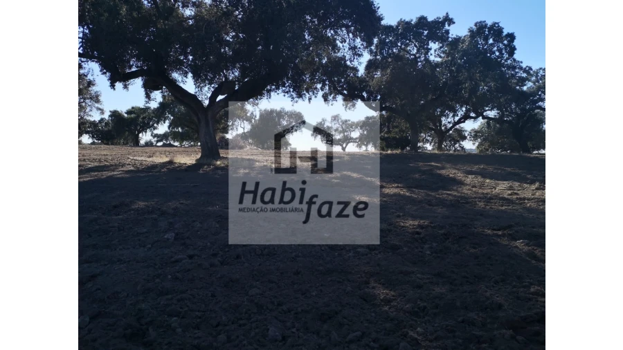 Quinta para Venda em Vimieiro Foto 4