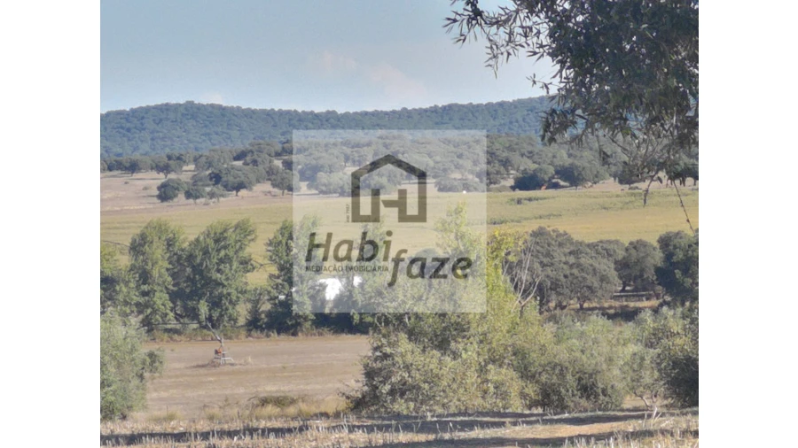 Quinta para Venda em Vimieiro Foto 2