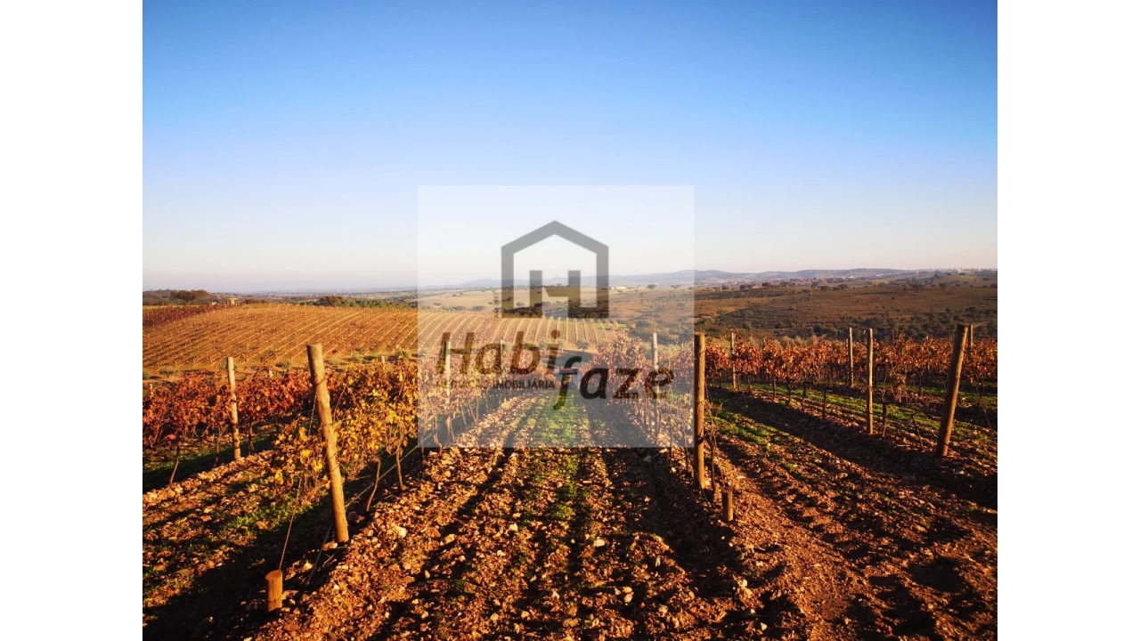 Quinta para Venda em Reguengos de Monsaraz Foto 1