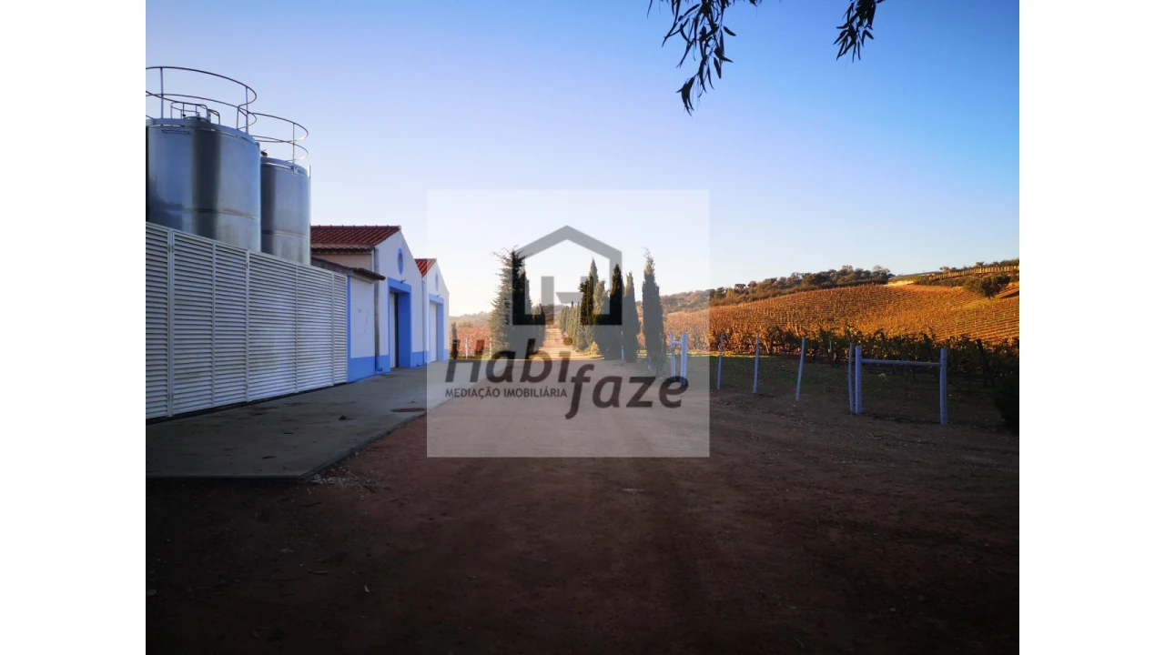 Quinta para Venda em Reguengos de Monsaraz Foto 12