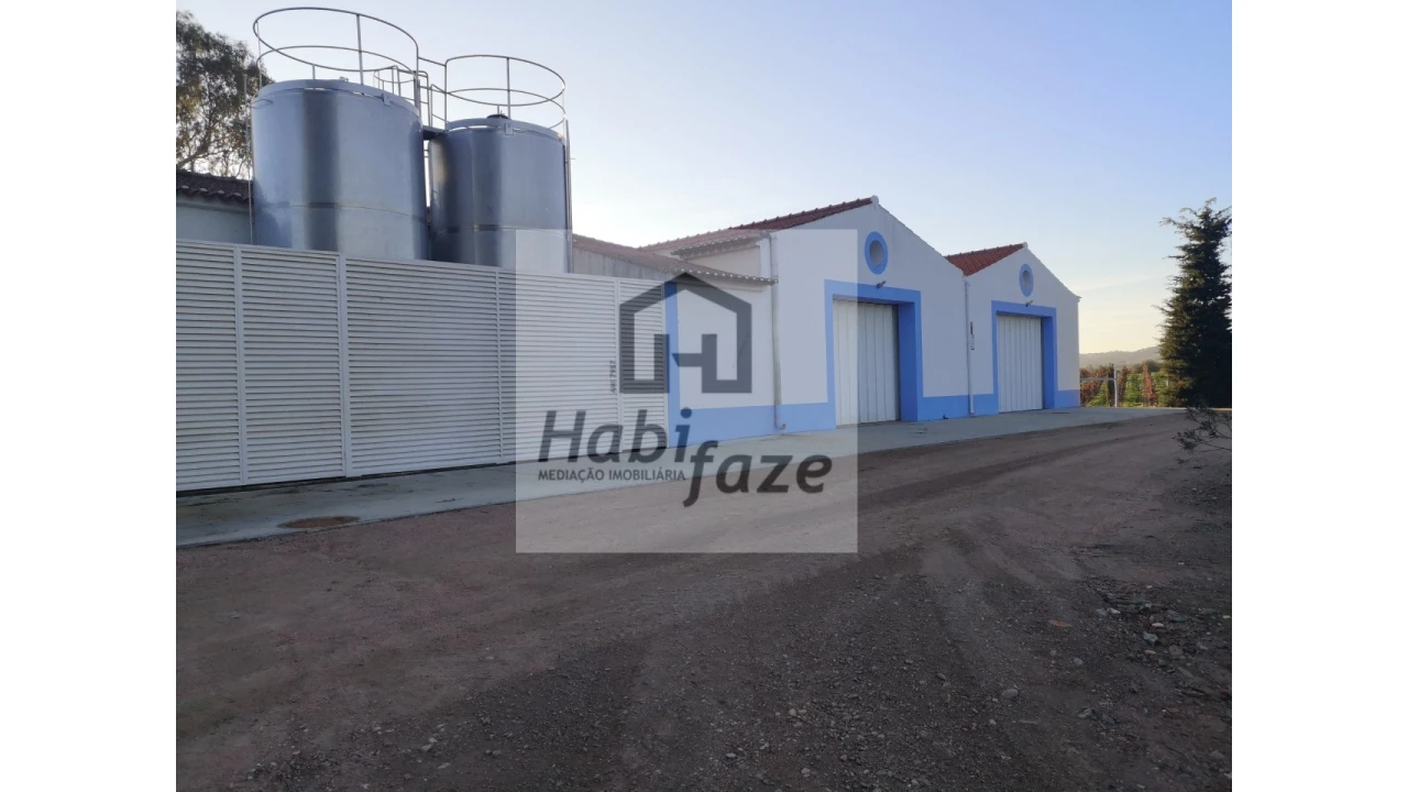 Quinta para Venda em Reguengos de Monsaraz Foto 14