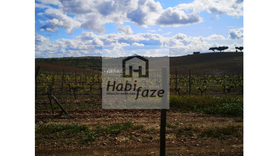 Quinta para Venda em Reguengos de Monsaraz Foto 9