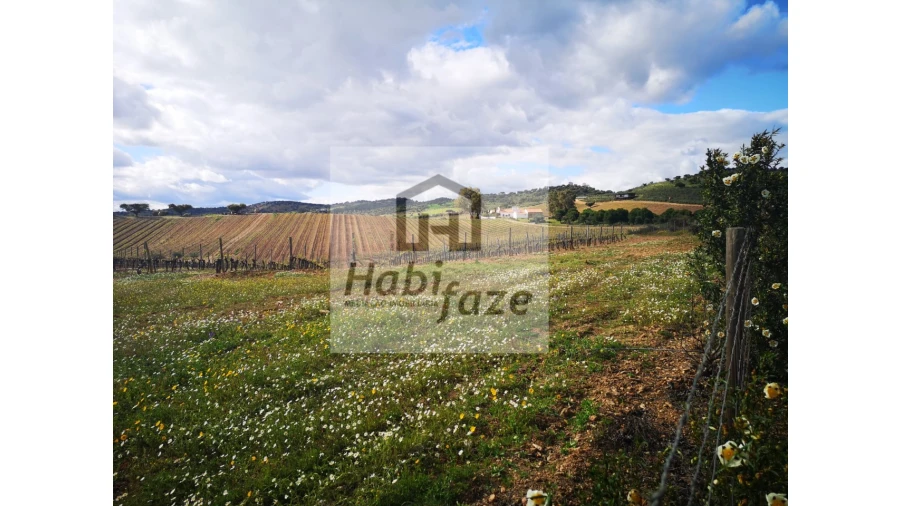 Quinta para Venda em Reguengos de Monsaraz Foto 6