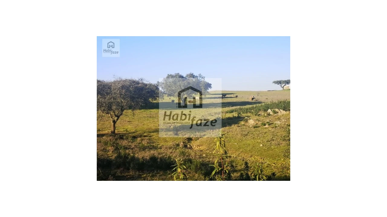 Quinta T8 para Venda em Terena (São Pedro) Foto 11