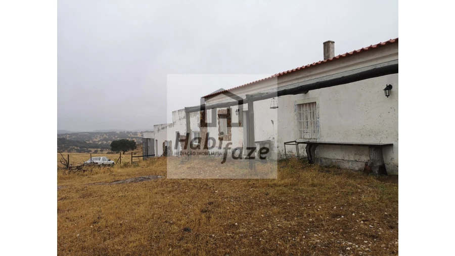 Quinta T8 para Venda em Terena (São Pedro) Foto 6