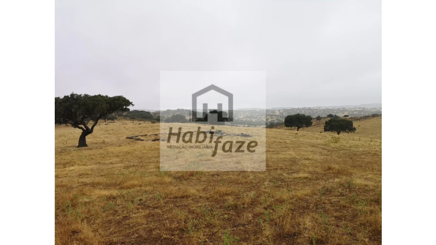 Quinta T8 para Venda em Terena (São Pedro) Foto 2