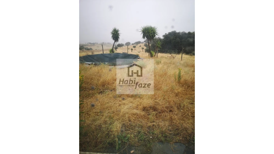 Quinta T8 para Venda em Terena (São Pedro) Foto 9